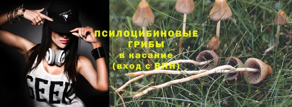 гашик Алзамай