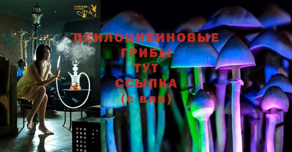 apvp Алексин